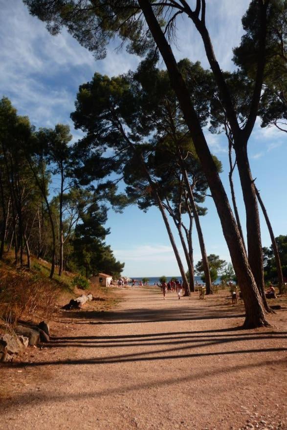 Apartmán Daniel Saint-Cyr-sur-Mer Exteriér fotografie